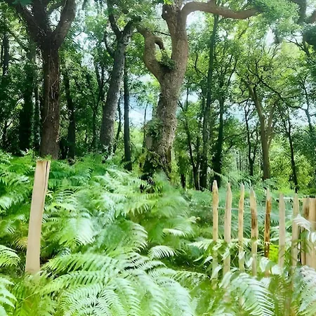 D'exception A Proche Des Plages * Capbreton