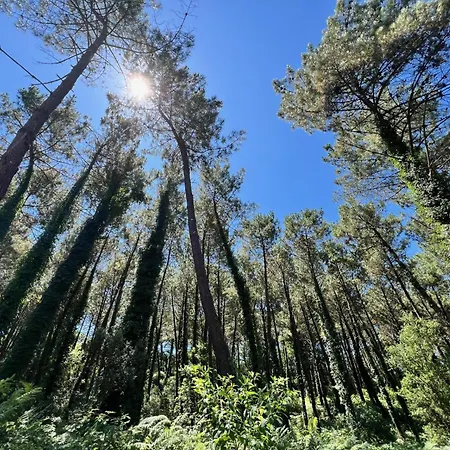 Vila D'exception A Proche Des Plages