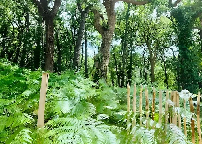 D'exception A Proche Des Plages * Capbreton