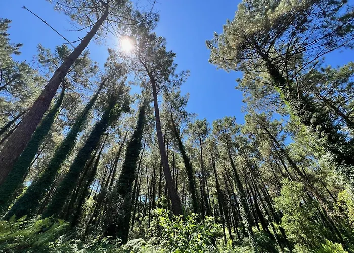 Villa D'exception A Proche Des Plages